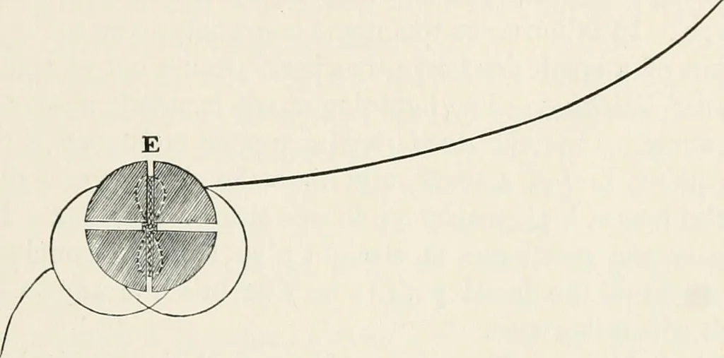 An illustration from Electricity for public schools and colleges, 1891, leaf 146