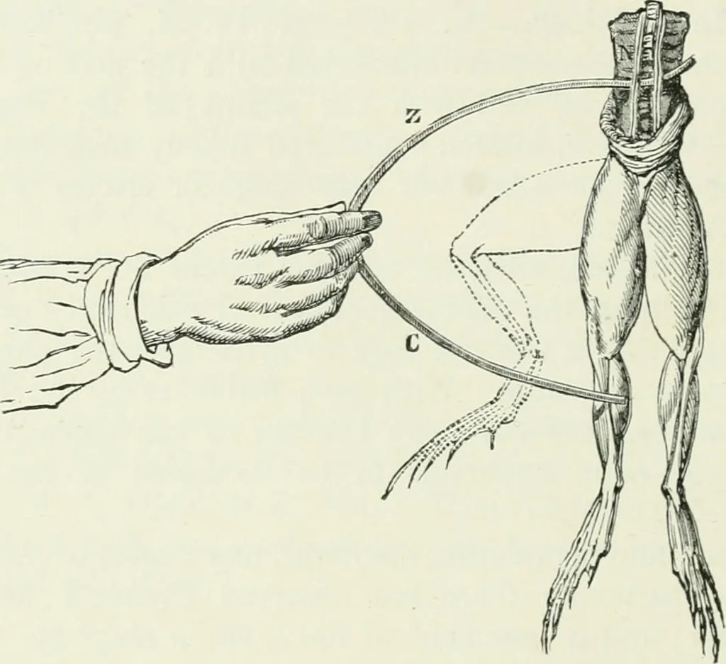 An illustration from Electricity for public schools and colleges, 1891, leaf 191