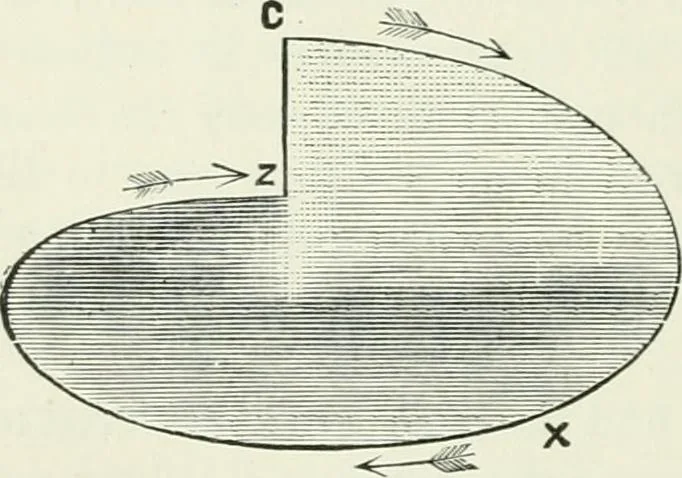 An illustration from Electricity for public schools and colleges, 1891, leaf 199