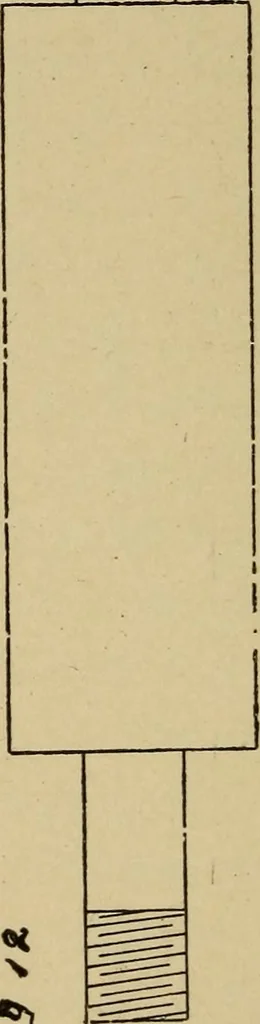An illustration from Electricity and its recent applications, 1902, leaf 144