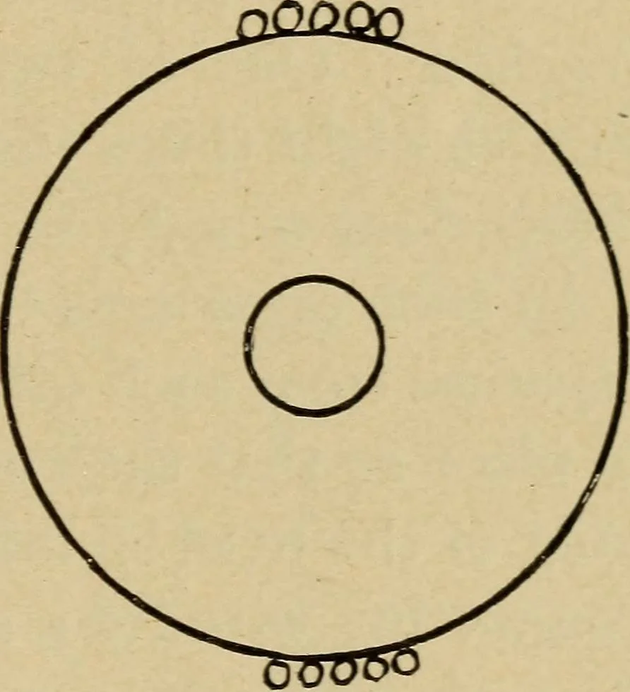 An illustration from Electricity and its recent applications, 1902, leaf 159