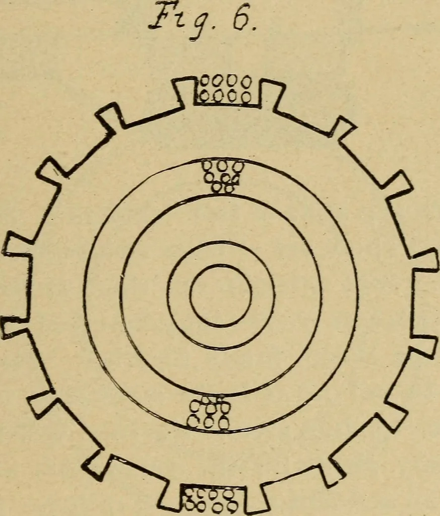 An illustration from Electricity and its recent applications, 1902, leaf 161