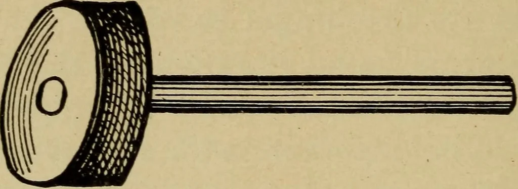An illustration from Electricity and its recent applications, 1902, leaf 180