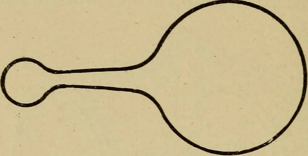 An illustration from Electricity and its recent applications, 1902, leaf 188