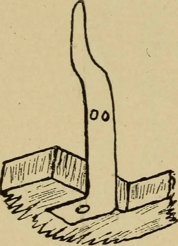 An illustration from Electricity and its recent applications, 1902, leaf 188