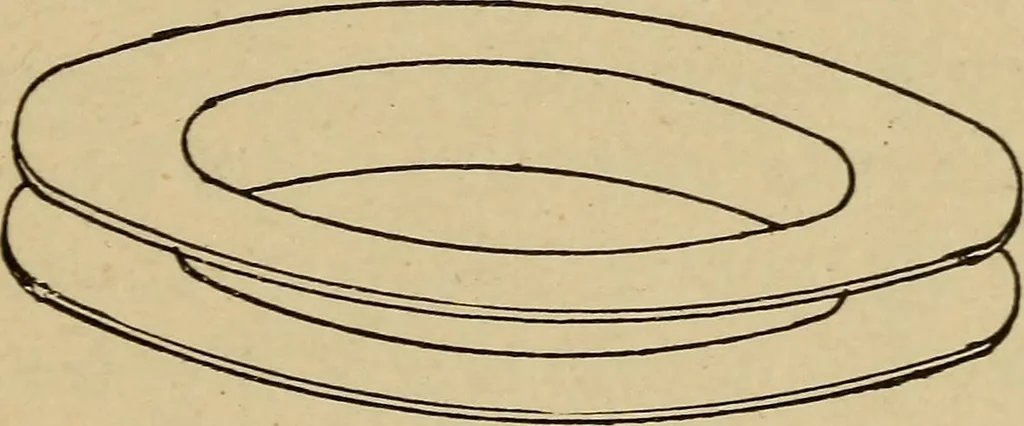 An illustration from Electricity and its recent applications, 1902, leaf 313