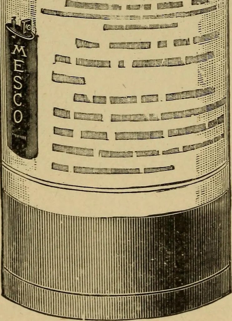 An illustration from Electricity and its recent applications, 1902, leaf 42