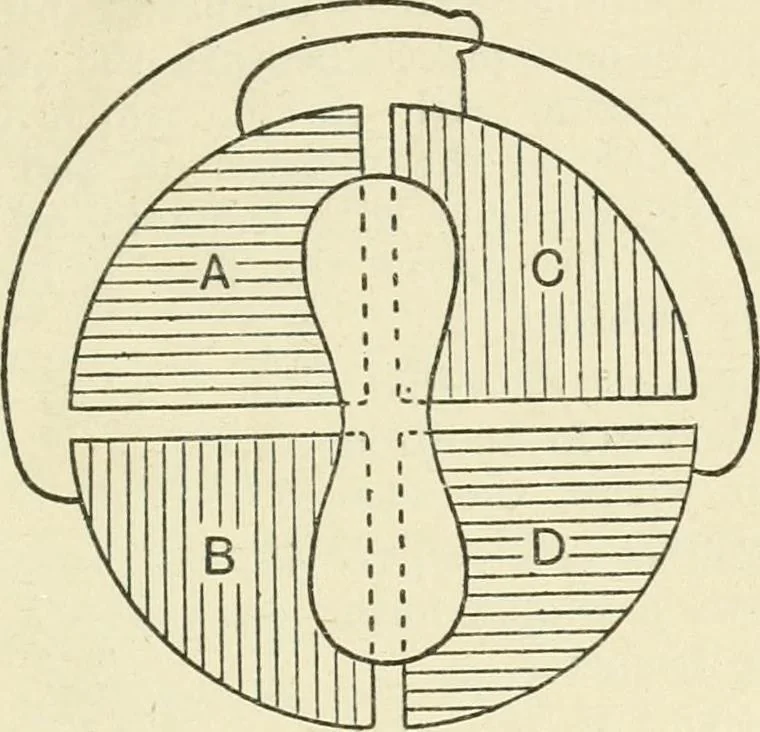 An illustration from Electricity and magnetism : an elementary text-book, theoretical and practical, 1920, leaf 105