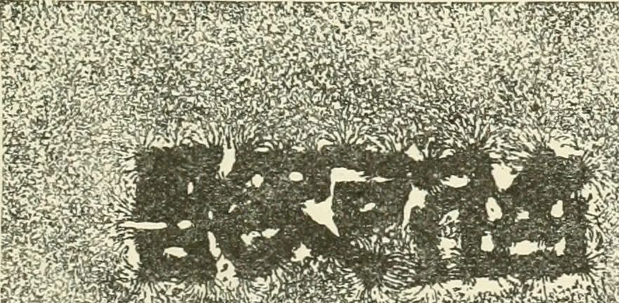 An illustration from Electricity and magnetism : an elementary text-book, theoretical and practical, 1920, leaf 143