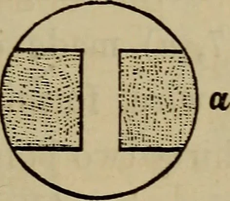 An illustration from Electricity treated experimentally, 1887, leaf 354