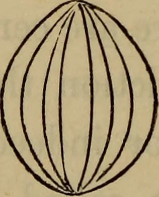 An illustration from Electricity treated experimentally, 1887, leaf 87
