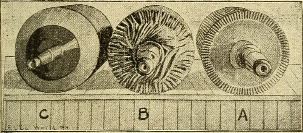 An illustration from The electric motor and the transmission of power, 1906, leaf 185
