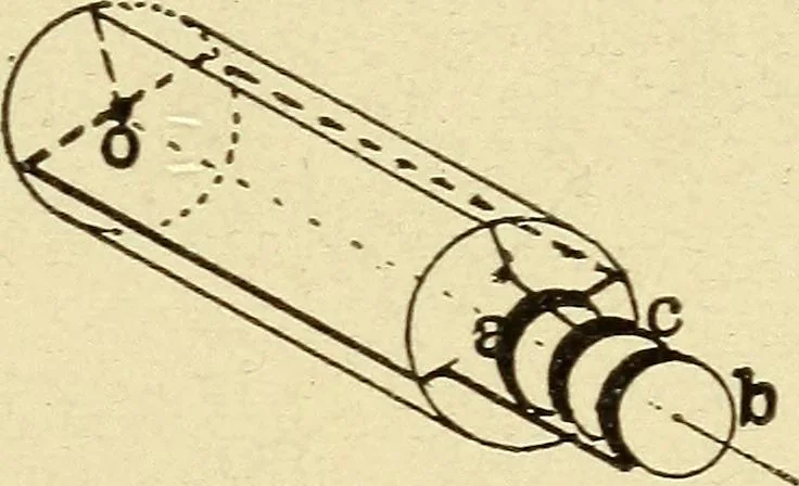 An illustration from The electric motor and the transmission of power, 1906, leaf 281