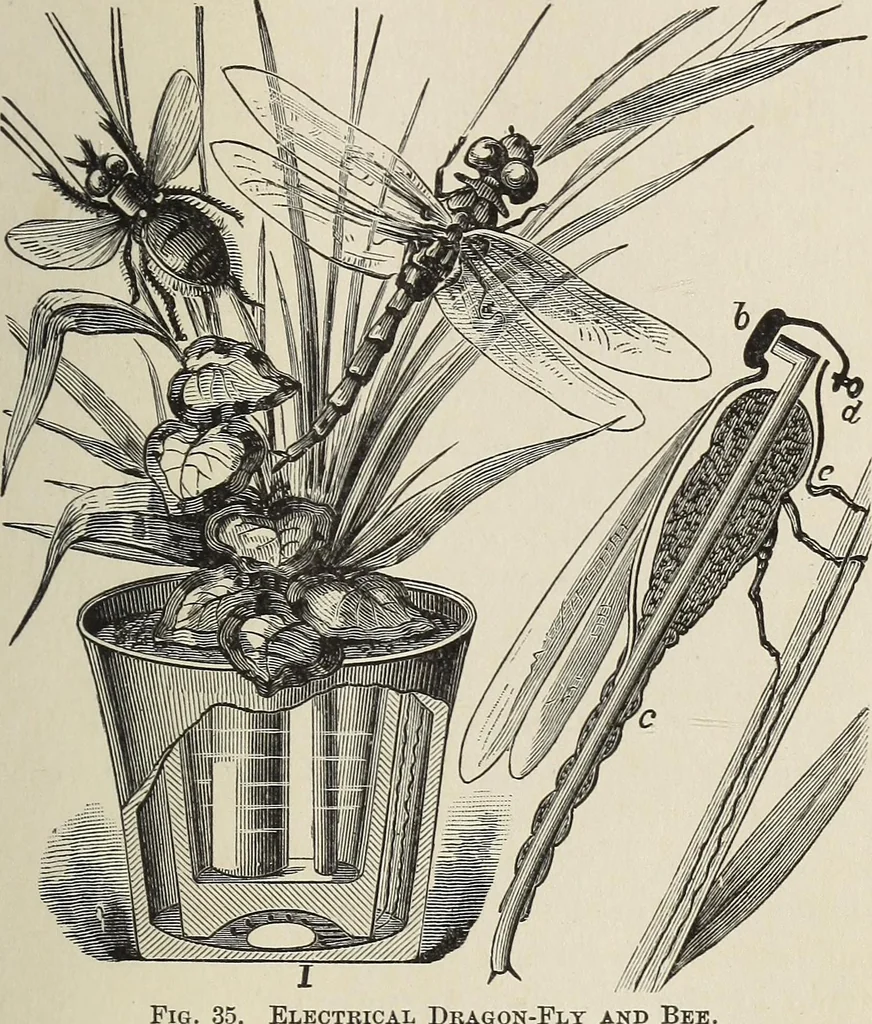 An illustration from Electric toy making for amateurs. This work treats on the making of electrical toys, electrical apparatus, motors, dynamos and instruments in general ... By T. O'Conor Sloane .., 1914, leaf 86