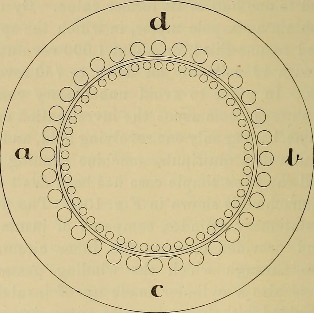 An illustration from Electric transmission of energy and its transformation, subdivision, and distribution. A practical handbook, 1894, leaf 323