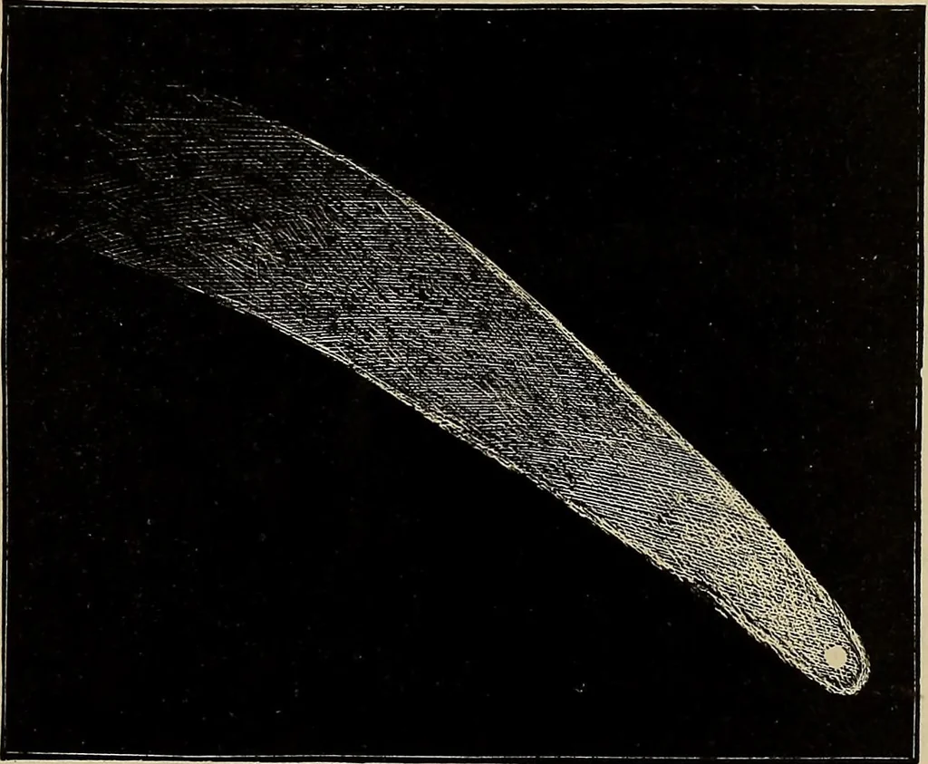 An illustration from Electro astronomical atlas ... with explanatory notes, questions and answers, 1874, leaf 121