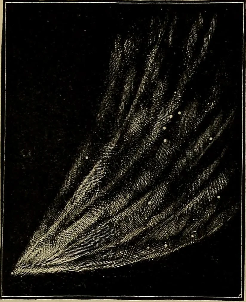 An illustration from Electro astronomical atlas ... with explanatory notes, questions and answers, 1874, leaf 123