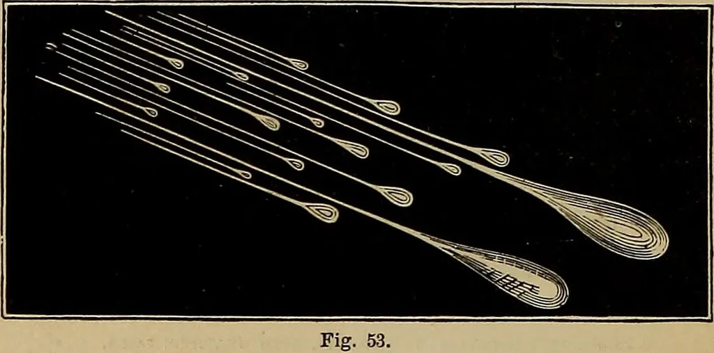 An illustration from Electro astronomical atlas ... with explanatory notes, questions and answers, 1874, leaf 124