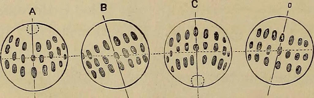 An illustration from Electro astronomical atlas ... with explanatory notes, questions and answers, 1874, leaf 30