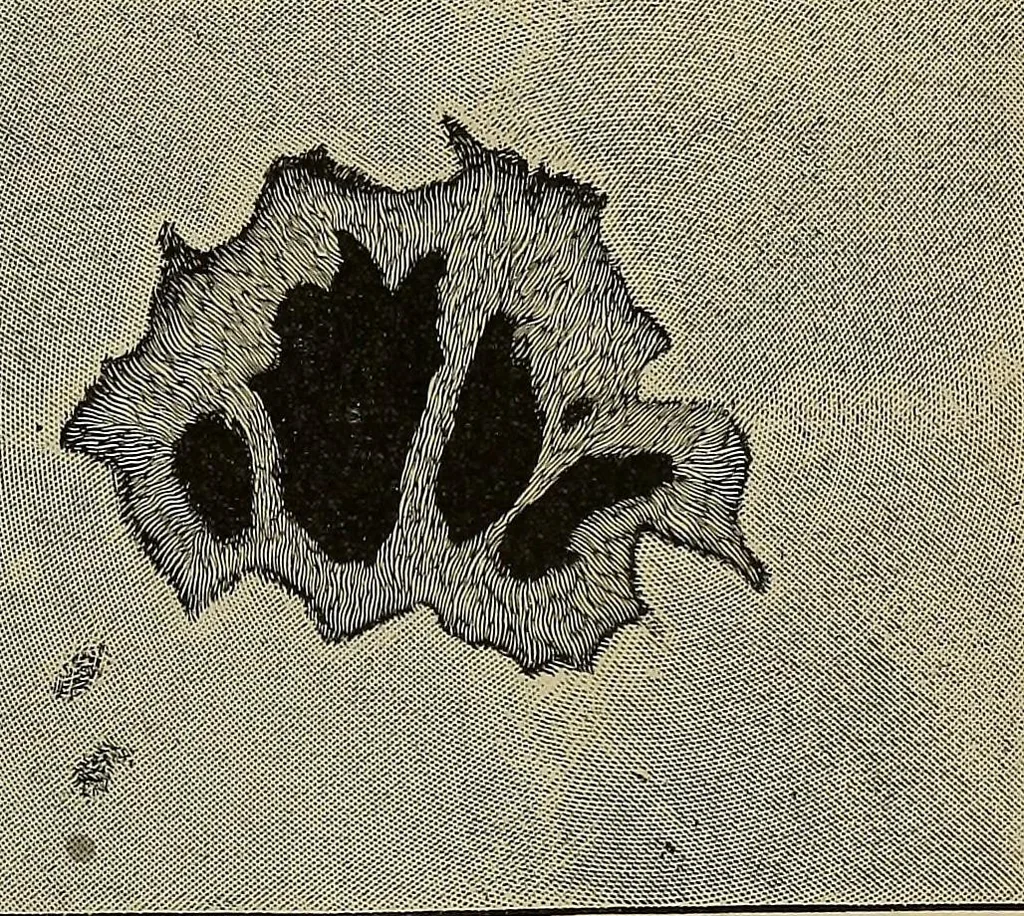 An illustration from Electro astronomical atlas ... with explanatory notes, questions and answers, 1874, leaf 31
