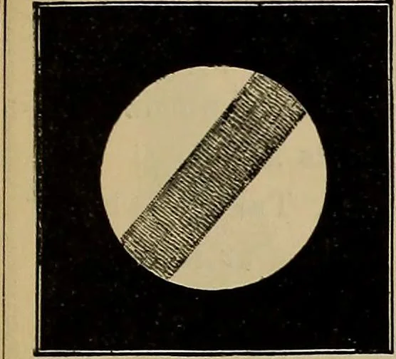 An illustration from Electro astronomical atlas ... with explanatory notes, questions and answers, 1874, leaf 49