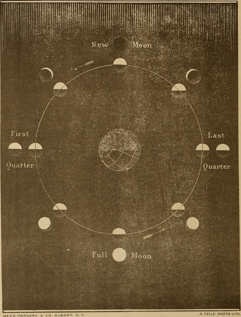 An illustration from Electro astronomical atlas ... with explanatory notes, questions and answers, 1874, leaf 72