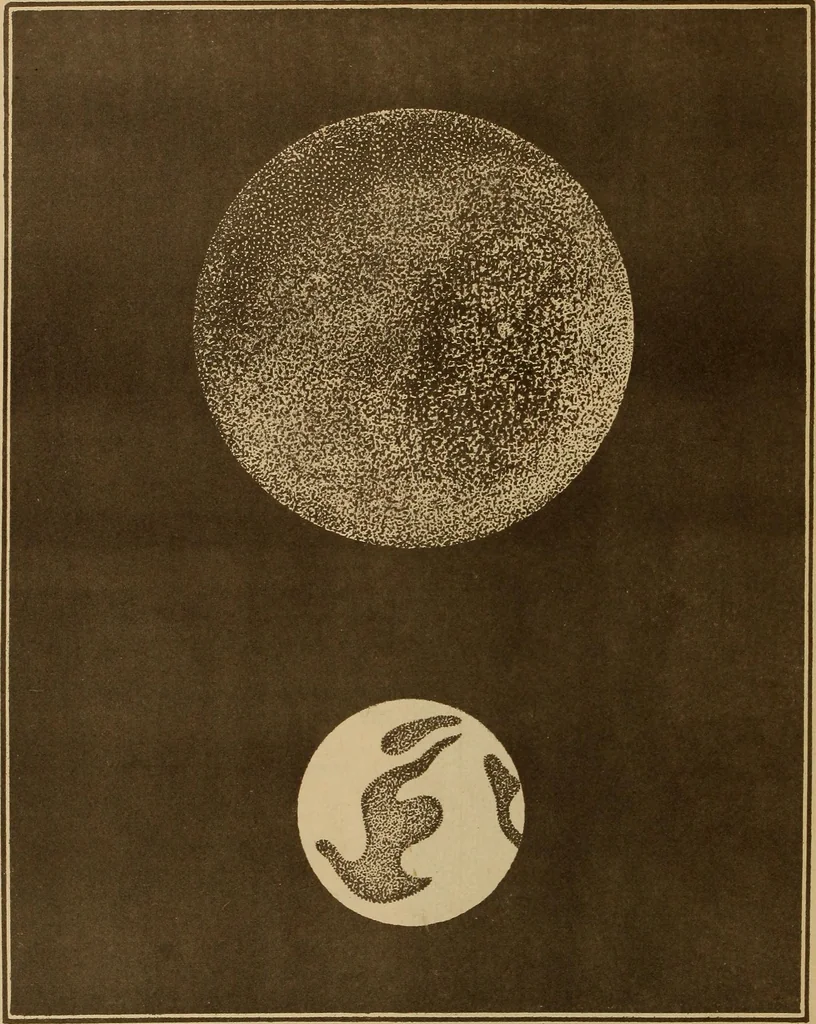 An illustration from Electro astronomical atlas ... with explanatory notes, questions and answers, 1874, leaf 86
