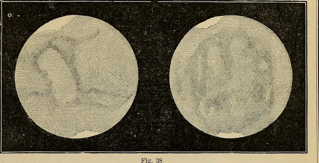An illustration from Electro astronomical atlas ... with explanatory notes, questions and answers, 1874, leaf 95