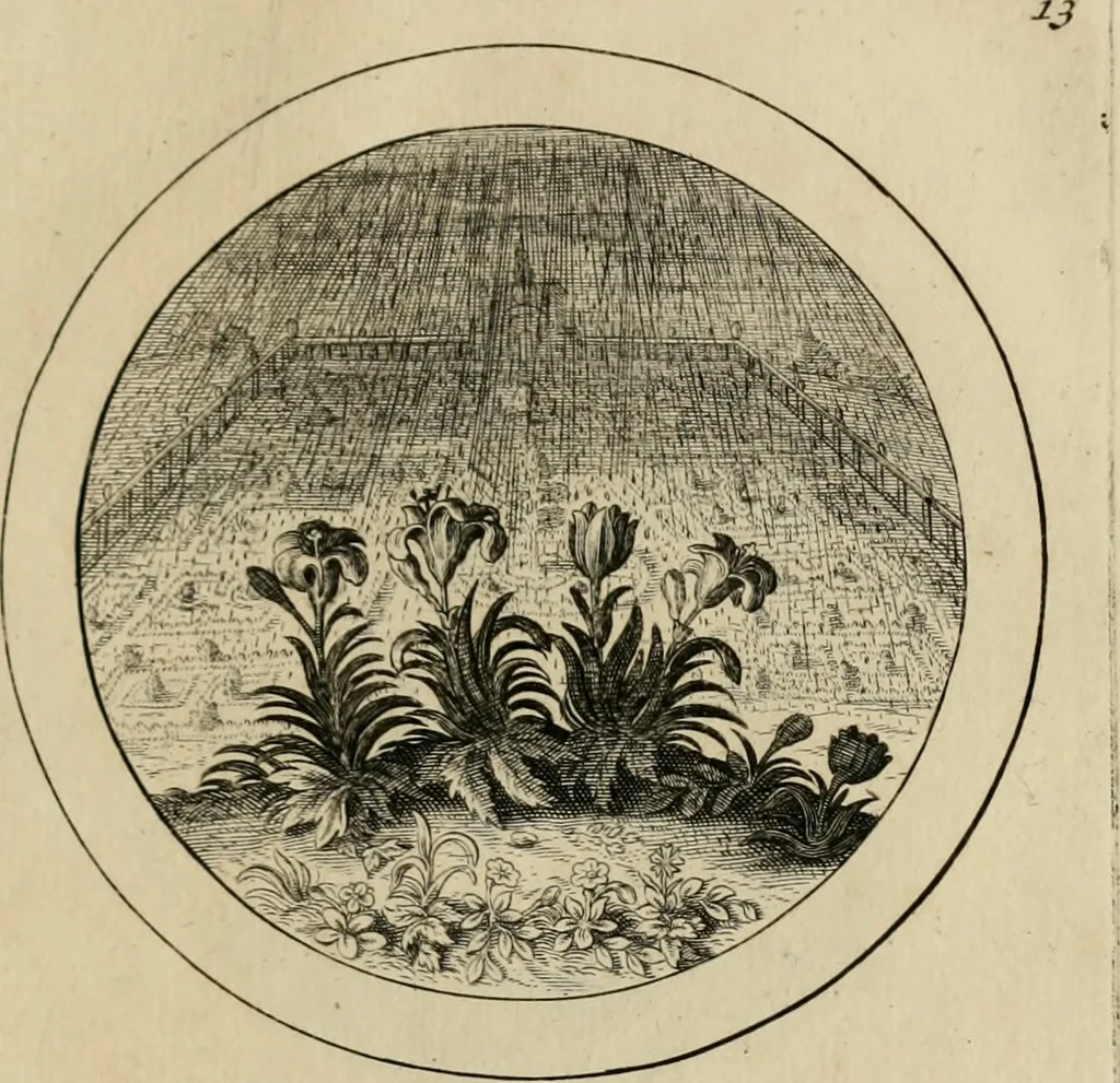 An illustration from Elegantissimorum emblematum corpusculum Latinis Belgicisque versibus elucidatum. Versameling van uytgeleesene sinne-beelden met latynse en nederduitse verklaringen in rym, 1696, leaf 30