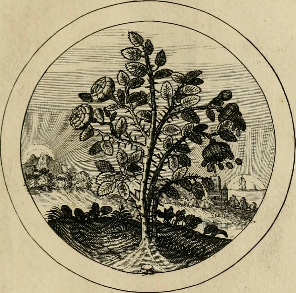 An illustration from Elegantissimorum emblematum corpusculum Latinis Belgicisque versibus elucidatum. Versameling van uytgeleesene sinne-beelden met latynse en nederduitse verklaringen in rym, 1696, leaf 34