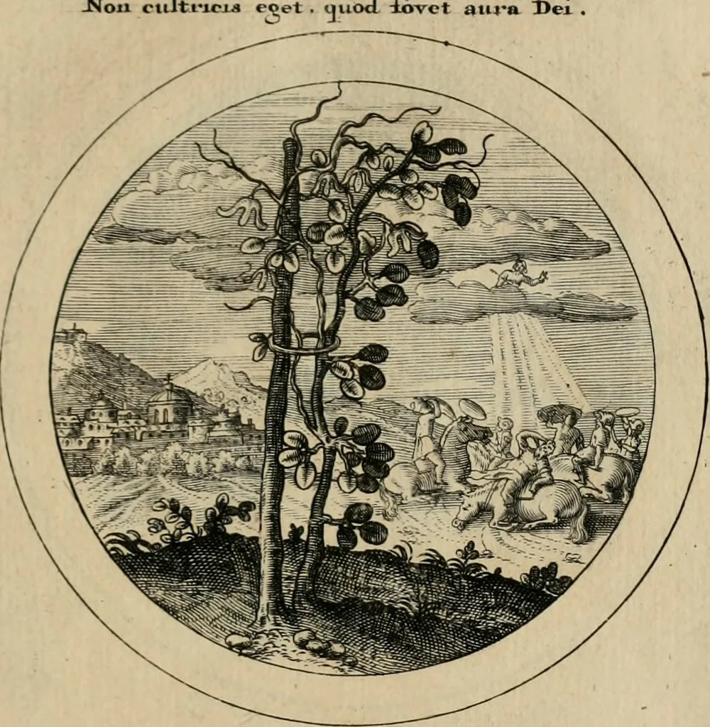 An illustration from Elegantissimorum emblematum corpusculum Latinis Belgicisque versibus elucidatum. Versameling van uytgeleesene sinne-beelden met latynse en nederduitse verklaringen in rym, 1696, leaf 36