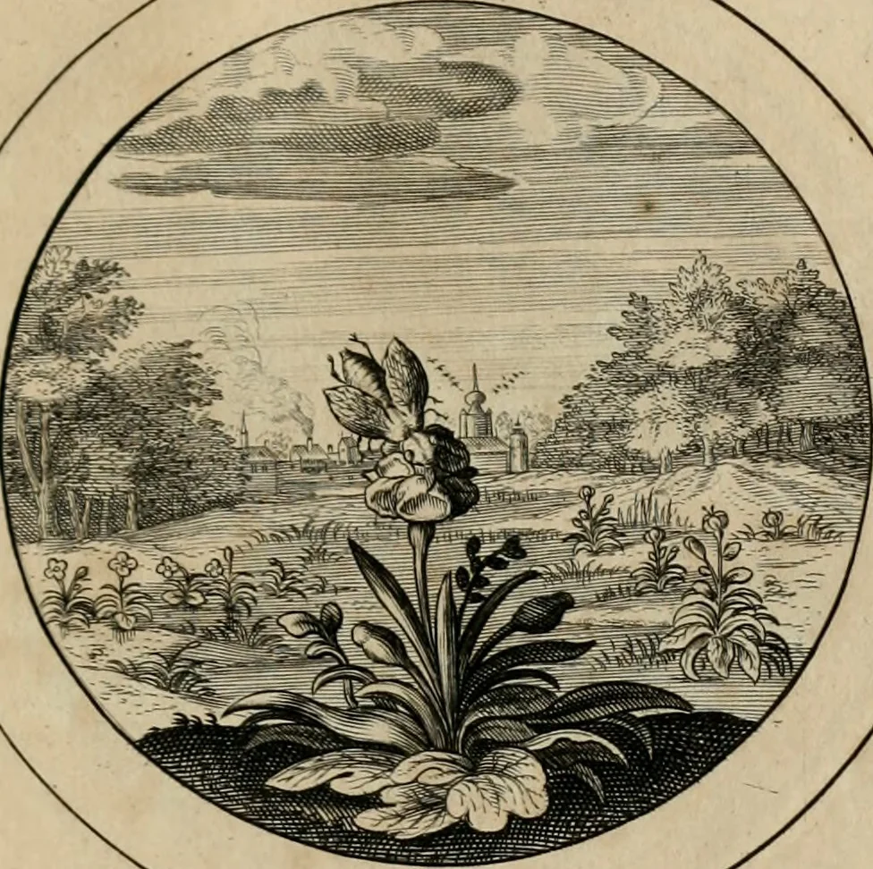 An illustration from Elegantissimorum emblematum corpusculum Latinis Belgicisque versibus elucidatum. Versameling van uytgeleesene sinne-beelden met latynse en nederduitse verklaringen in rym, 1696, leaf 42