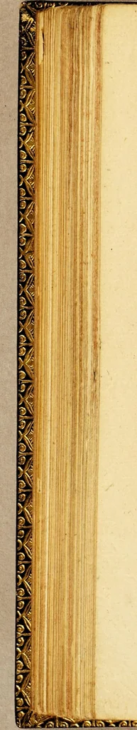 An illustration from Eleganze insieme con la copia della lingua toscana, e latina,, 1575, leaf 174