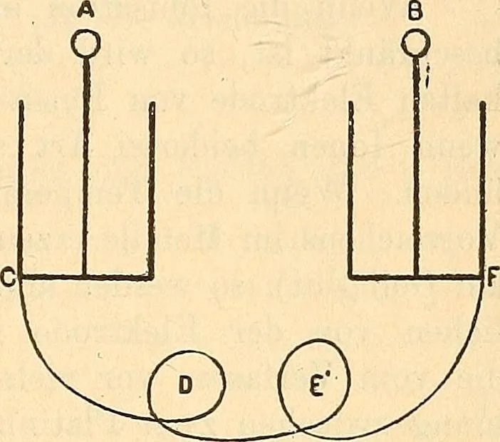 An illustration from Elektrizitäts-Durchgang in Gasen :, 1906, leaf 185