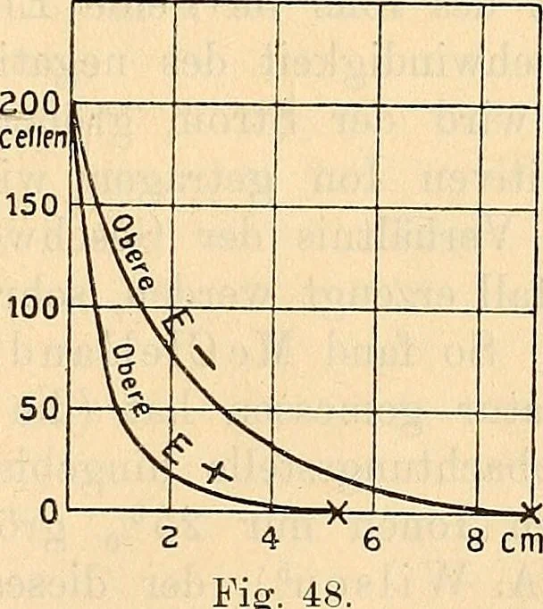 An illustration from Elektrizitäts-Durchgang in Gasen :, 1906, leaf 203