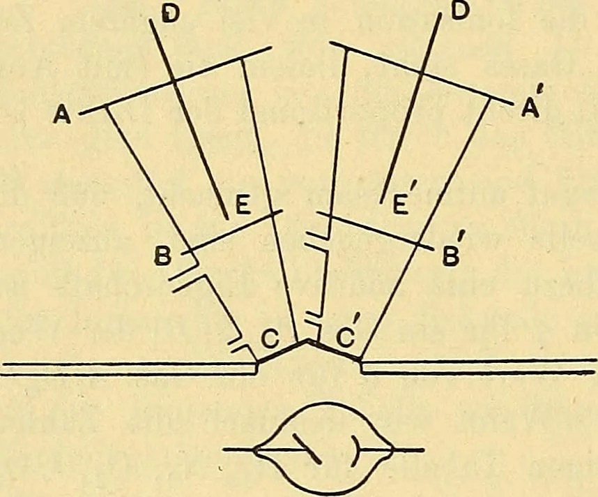 An illustration from Elektrizitäts-Durchgang in Gasen :, 1906, leaf 270