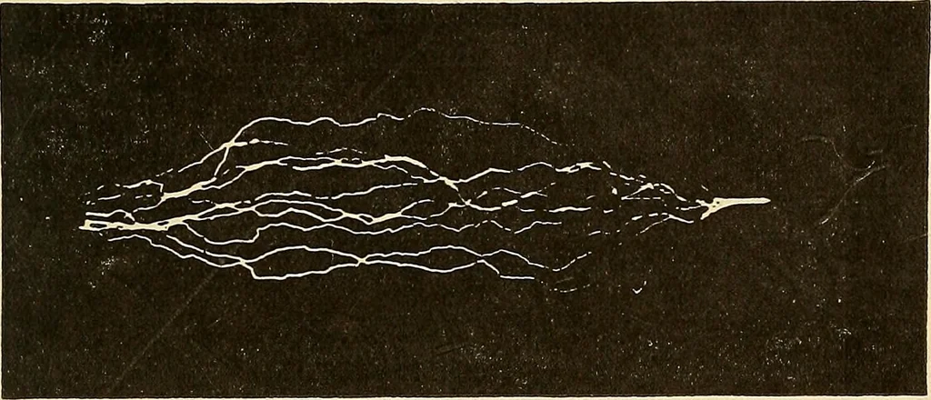 An illustration from Elektrizitäts-Durchgang in Gasen :, 1906, leaf 431