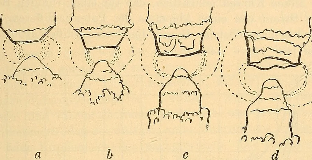 An illustration from Elektrizitäts-Durchgang in Gasen :, 1906, leaf 449