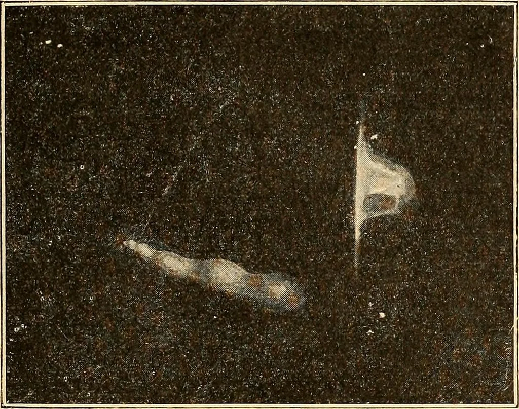 An illustration from Elektrizitäts-Durchgang in Gasen :, 1906, leaf 497