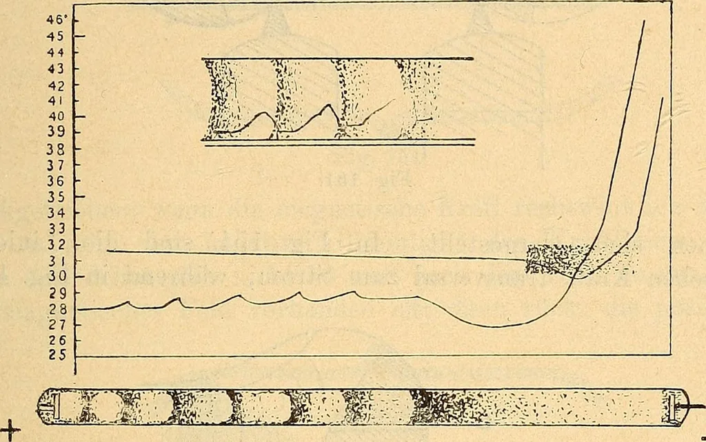 An illustration from Elektrizitäts-Durchgang in Gasen :, 1906, leaf 499