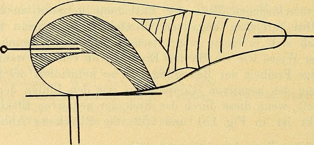 An illustration from Elektrizitäts-Durchgang in Gasen :, 1906, leaf 500