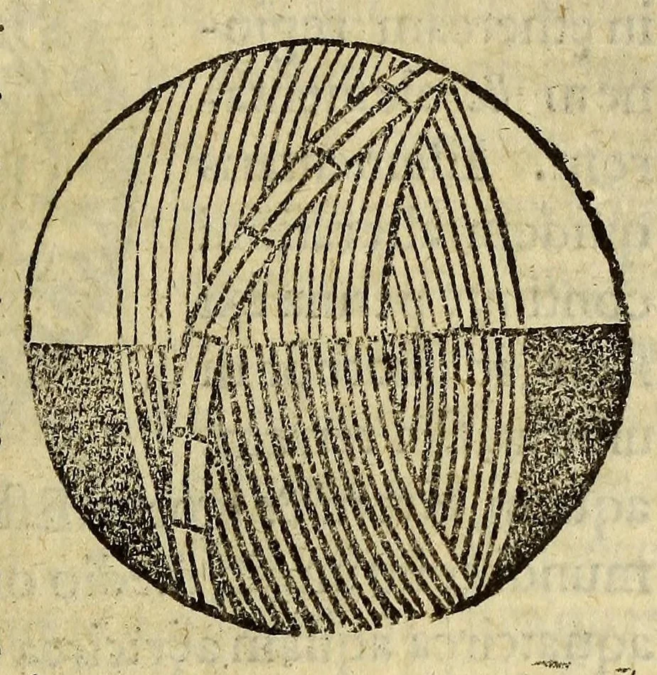 An illustration from Elementale cosmographicum : quo totius & astronomiæ & geographiæ rudimenta, certissimis breuissimiśque docentur apodixibus. : Recens castigatum & emendatum, figurísque &. annotationibus opportuniss. illustratum. Adiunximus huic libro Cosmographiæ introductio : cum quibusdam geometriæ ac astronomiæ principiis ad eam rem necessariis, 1551, leaf 101