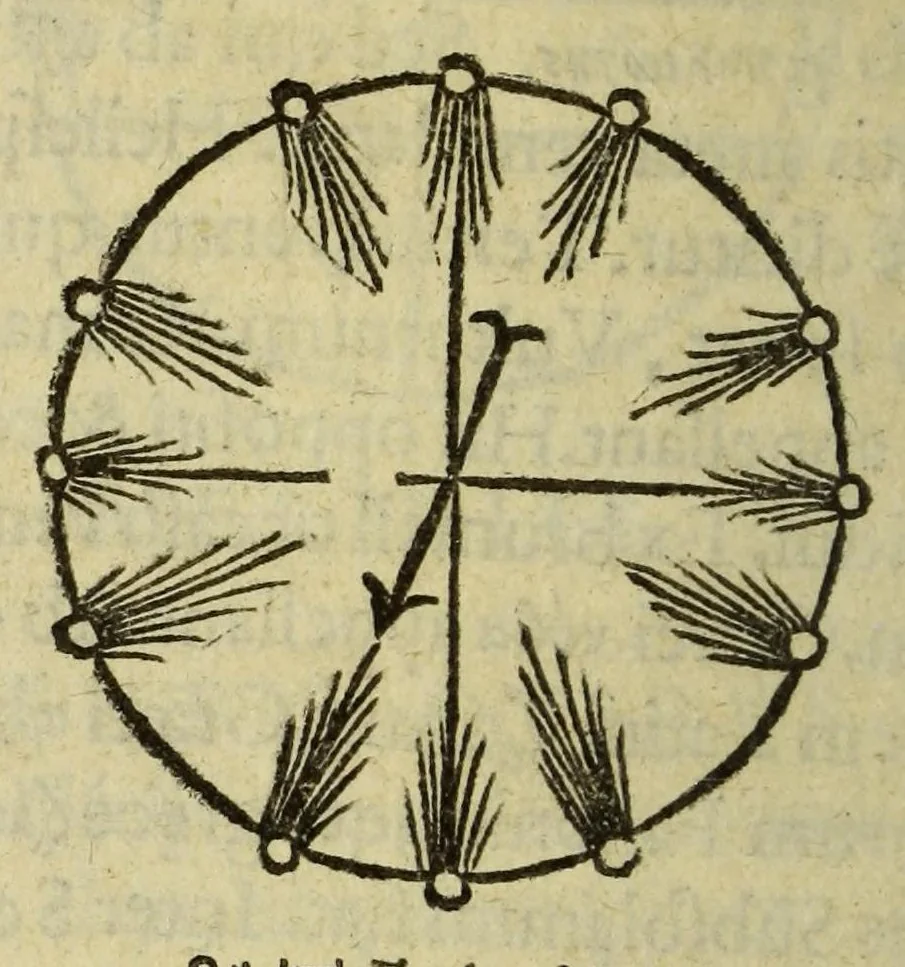 An illustration from Elementale cosmographicum : quo totius & astronomiæ & geographiæ rudimenta, certissimis breuissimiśque docentur apodixibus. : Recens castigatum & emendatum, figurísque &. annotationibus opportuniss. illustratum. Adiunximus huic libro Cosmographiæ introductio : cum quibusdam geometriæ ac astronomiæ principiis ad eam rem necessariis, 1551, leaf 112
