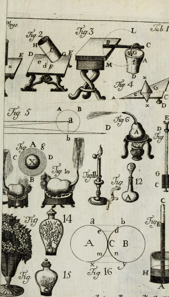 An illustration from Elementa recentioris philosophiae : ex melioris notae recentioribus philosophis, excerptum, congestum, adornatum, 1774, leaf 556
