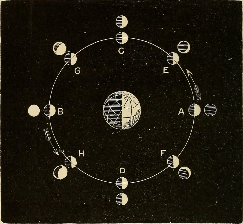 An illustration from Elementary astronomy; a beginner's text-book, 1899, leaf 239