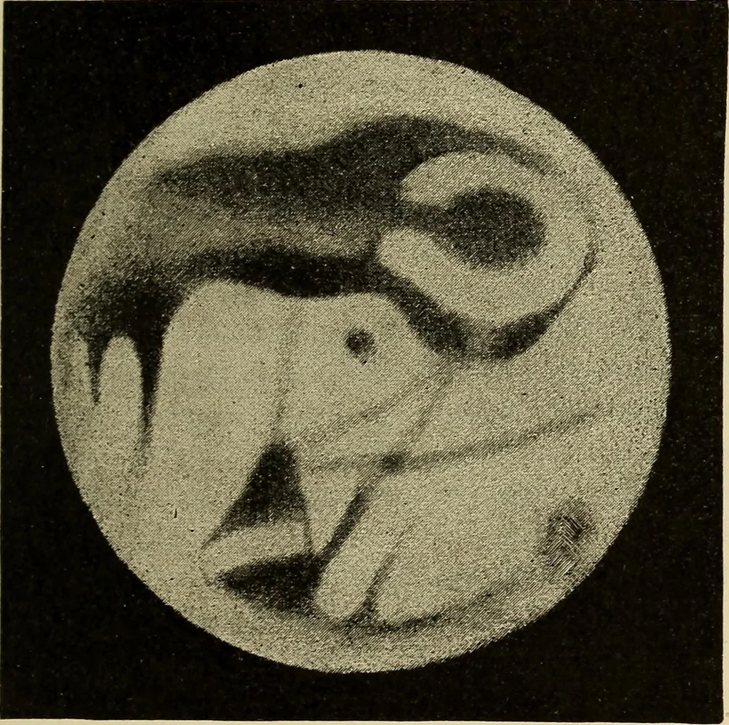 An illustration from Elementary astronomy; a beginner's text-book, 1899, leaf 328