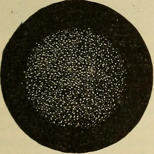 An illustration from Elementary astronomy; a beginner's text-book, 1899, leaf 384