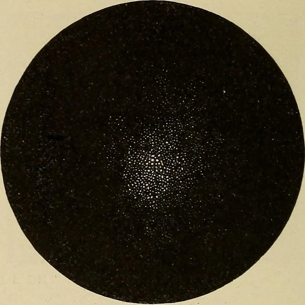 An illustration from Elementary astronomy; a beginner's text-book, 1899, leaf 423