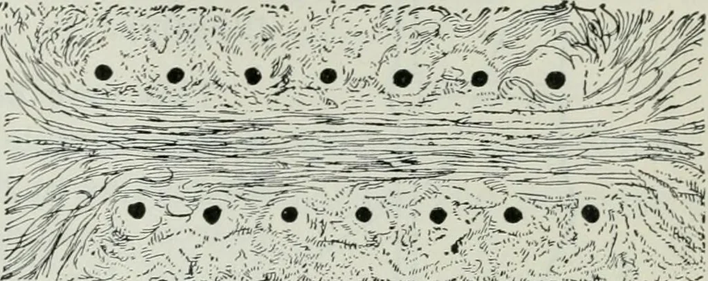 An illustration from An elementary book on electricity and magnetism and their applications, 1919, leaf 116