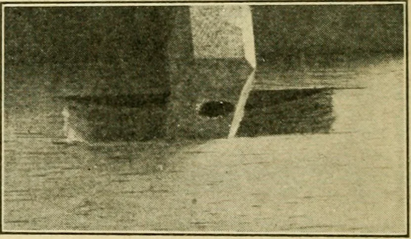 An illustration from Elementary cabinetwork for manual training classes, 1909, leaf 103